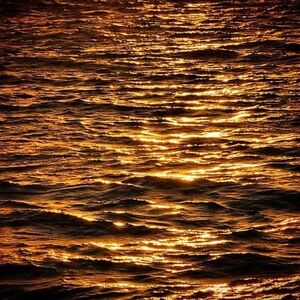 Golden Ocean Waves Art Print
